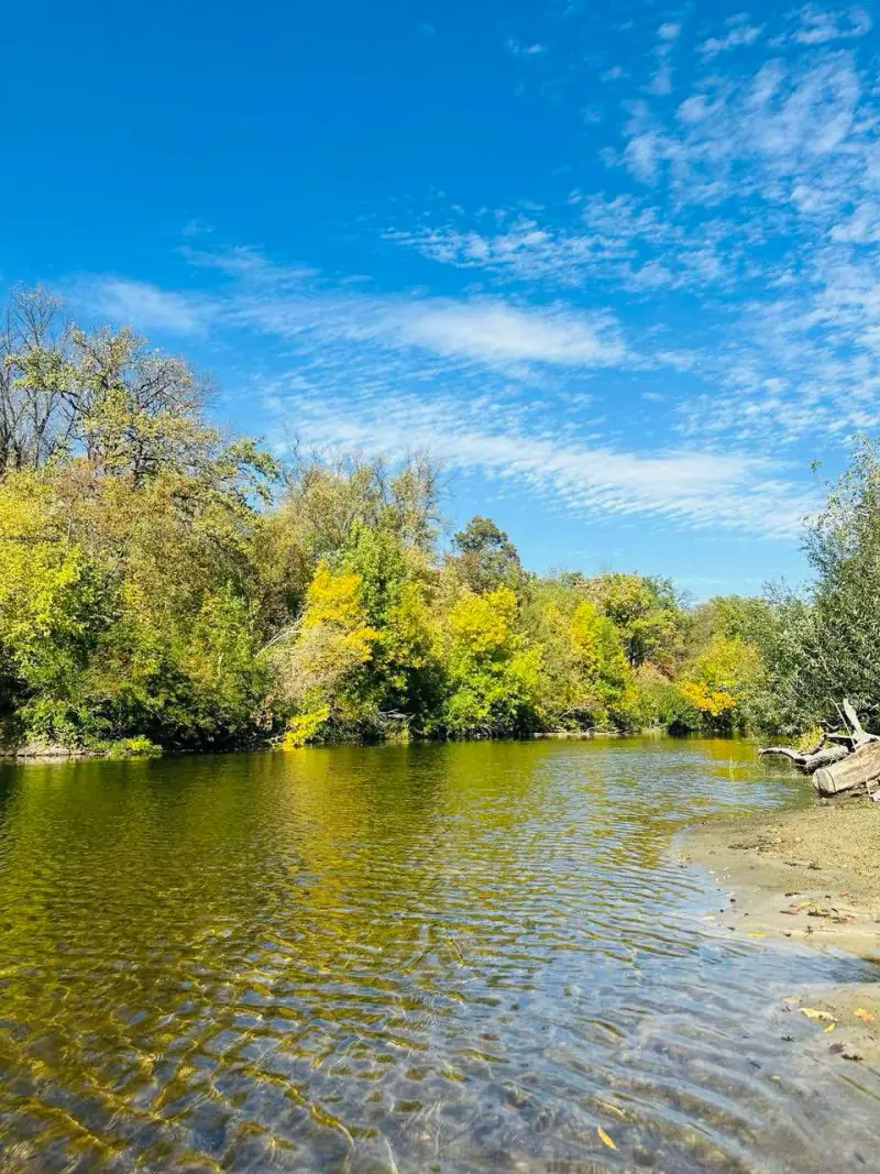 Природа навколо бази