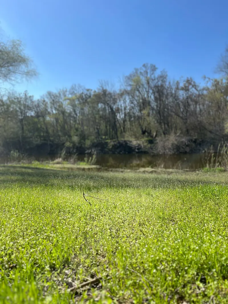 Природа навколо бази