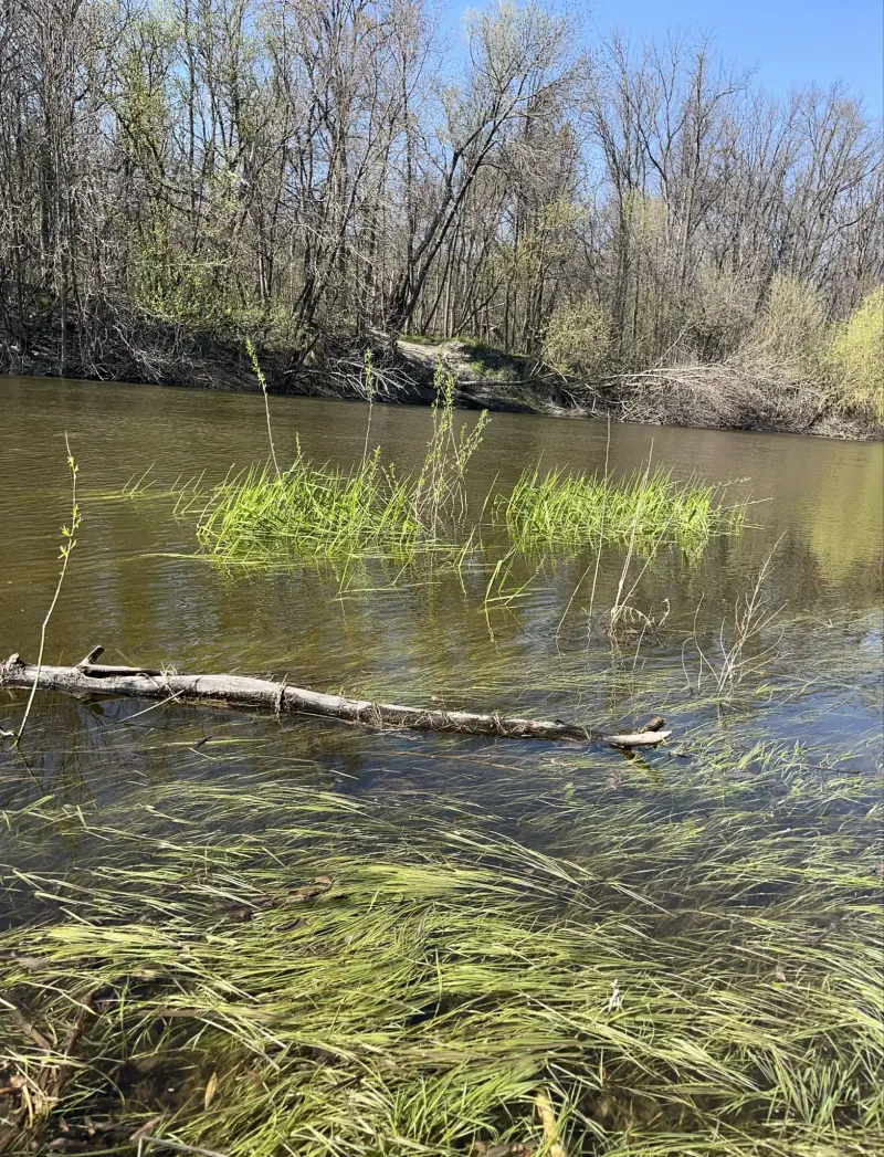 Природа навколо бази