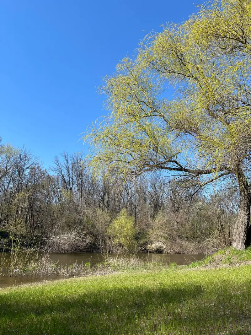 Природа навколо бази