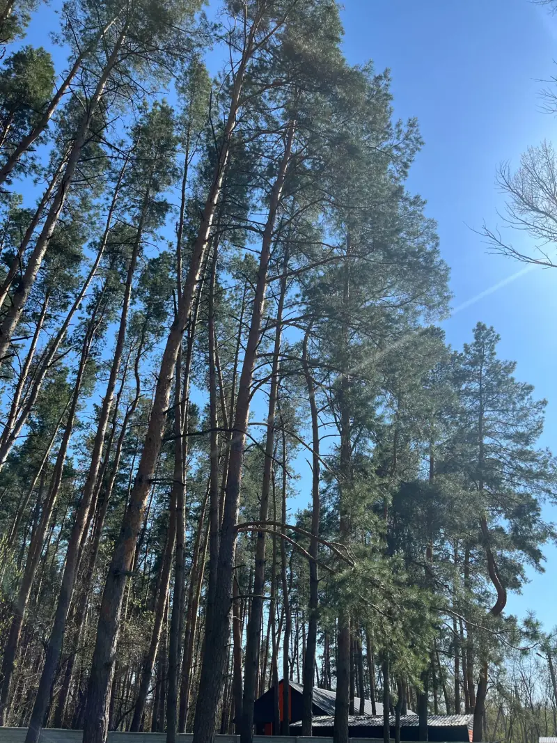 Природа навколо бази