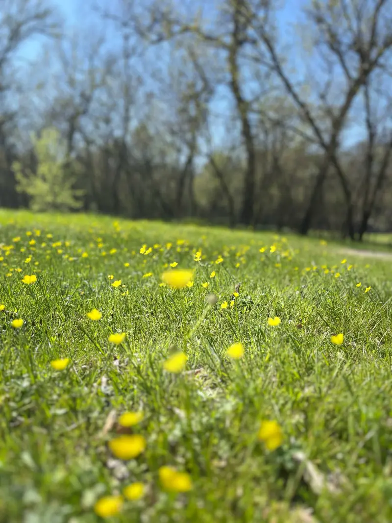 Природа навколо бази