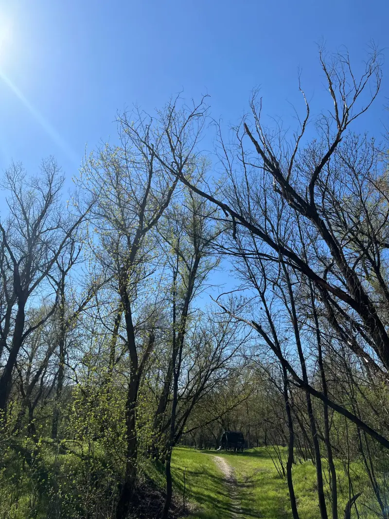 Природа навколо бази