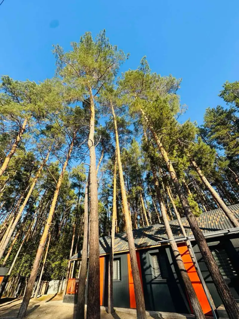 Територія бази відпочинку