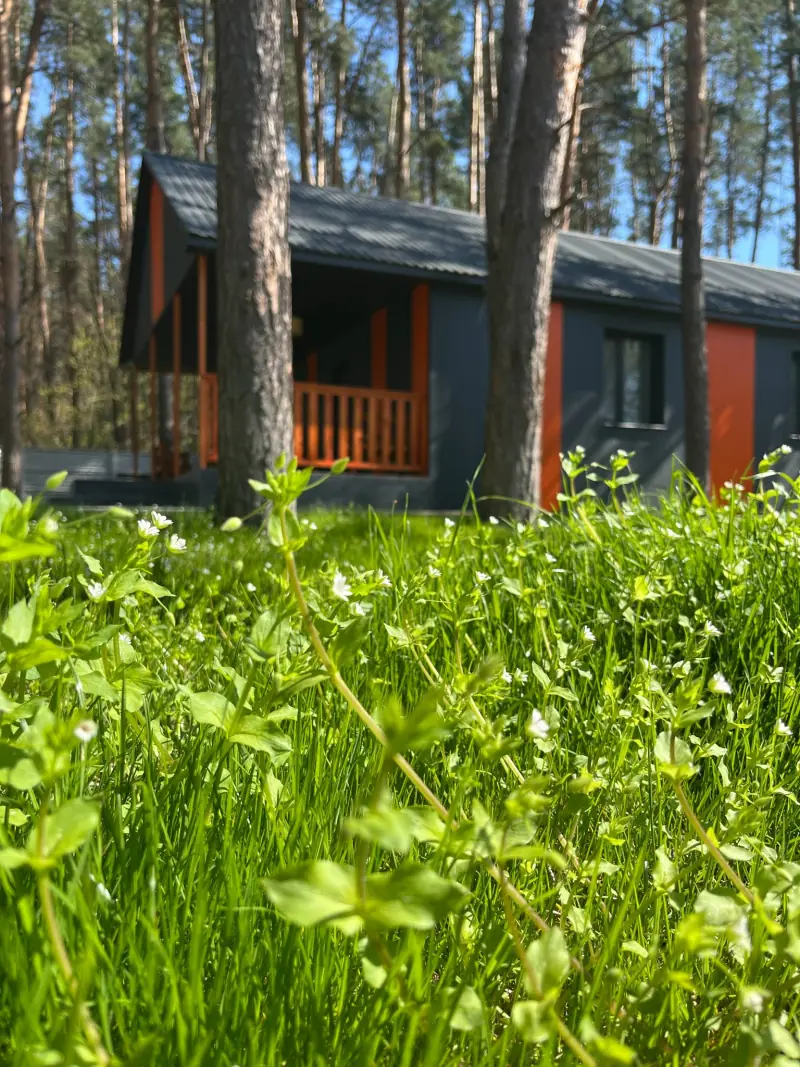 Територія бази відпочинку