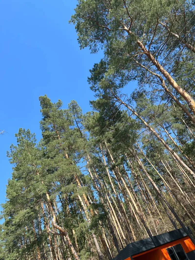 Територія бази відпочинку