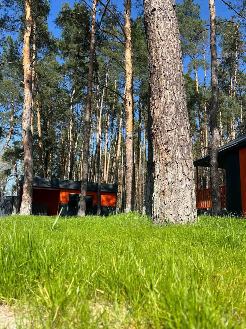 Територія бази відпочинку